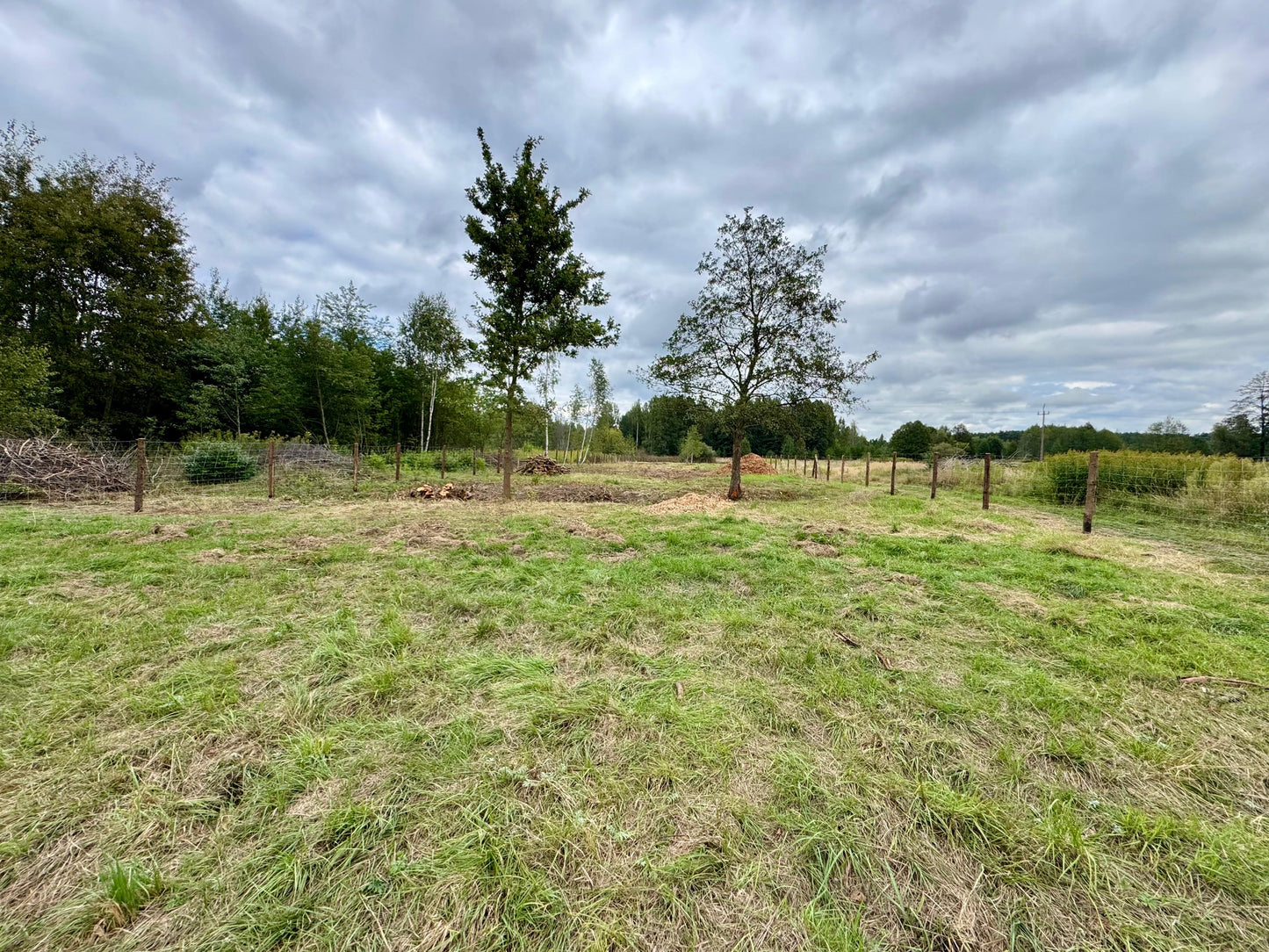 Działka miejscowość Dziechciniec 2500m2