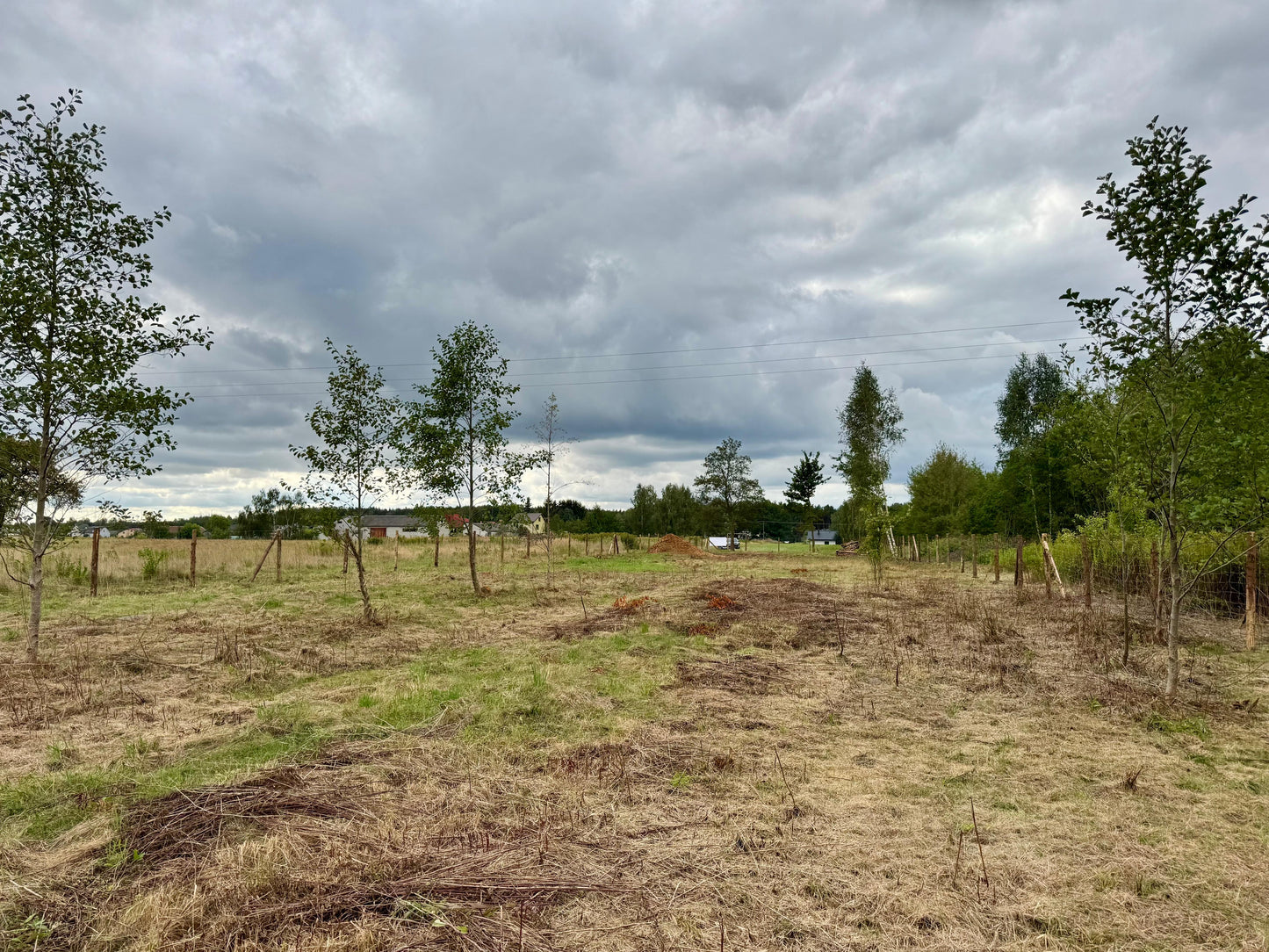 Działka miejscowość Dziechciniec 2500m2